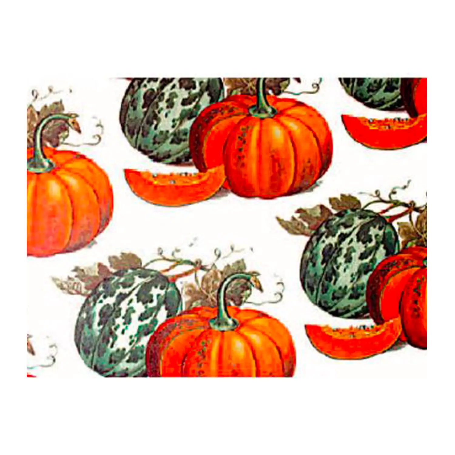 Carte per decoupage Zucche. 10 fogli formato 50x70 cm. - creatività