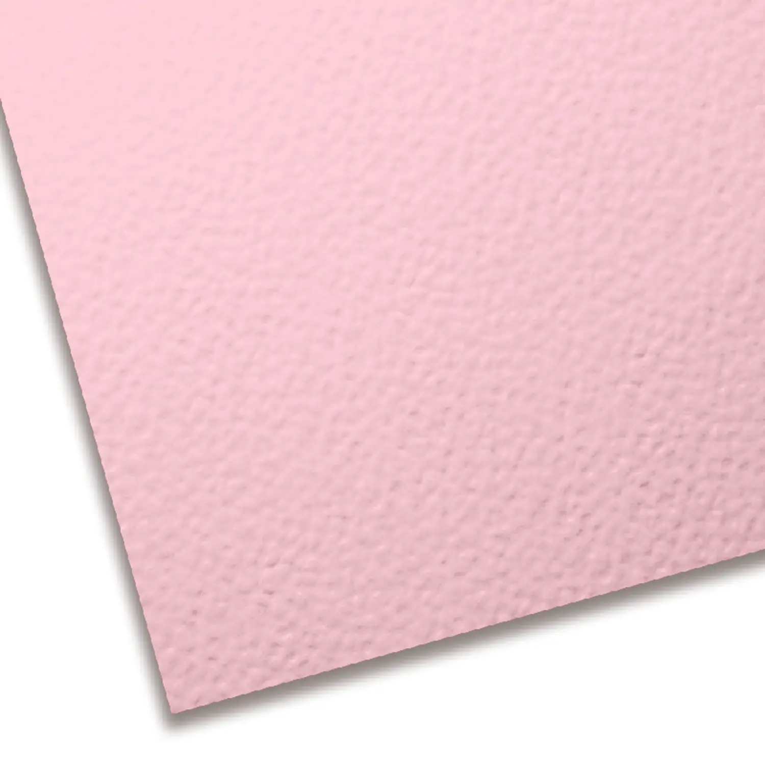 Cartoncino Colorato Premium Rosa 50x70 cm – Liscio/Ruvido 220 gr - Carta e cartoncino