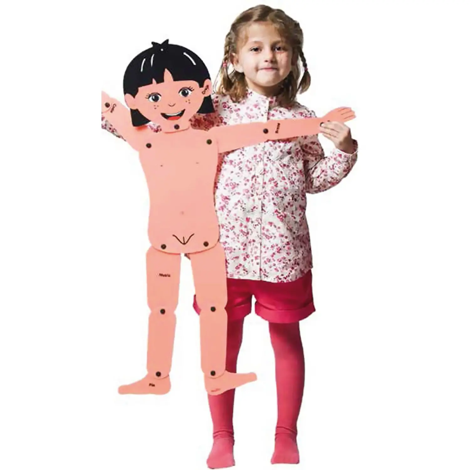 Schema Corporeo Articolato Maschio e Femmina – Modello del Corpo Umano - II corpo umano