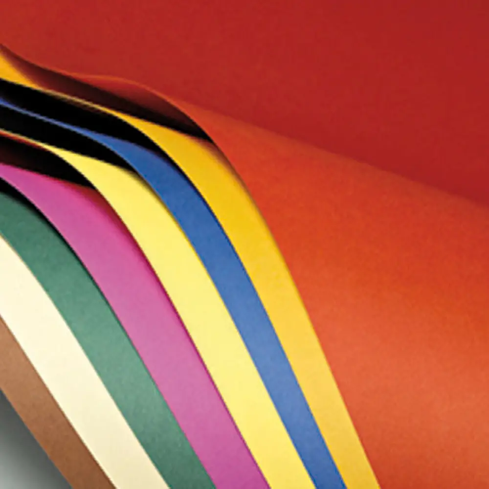 Cartoncino Bristol Liscio 200 gr – Set 5 Colori - 25 Fogli 70x100 cm - Carta e cartoncino