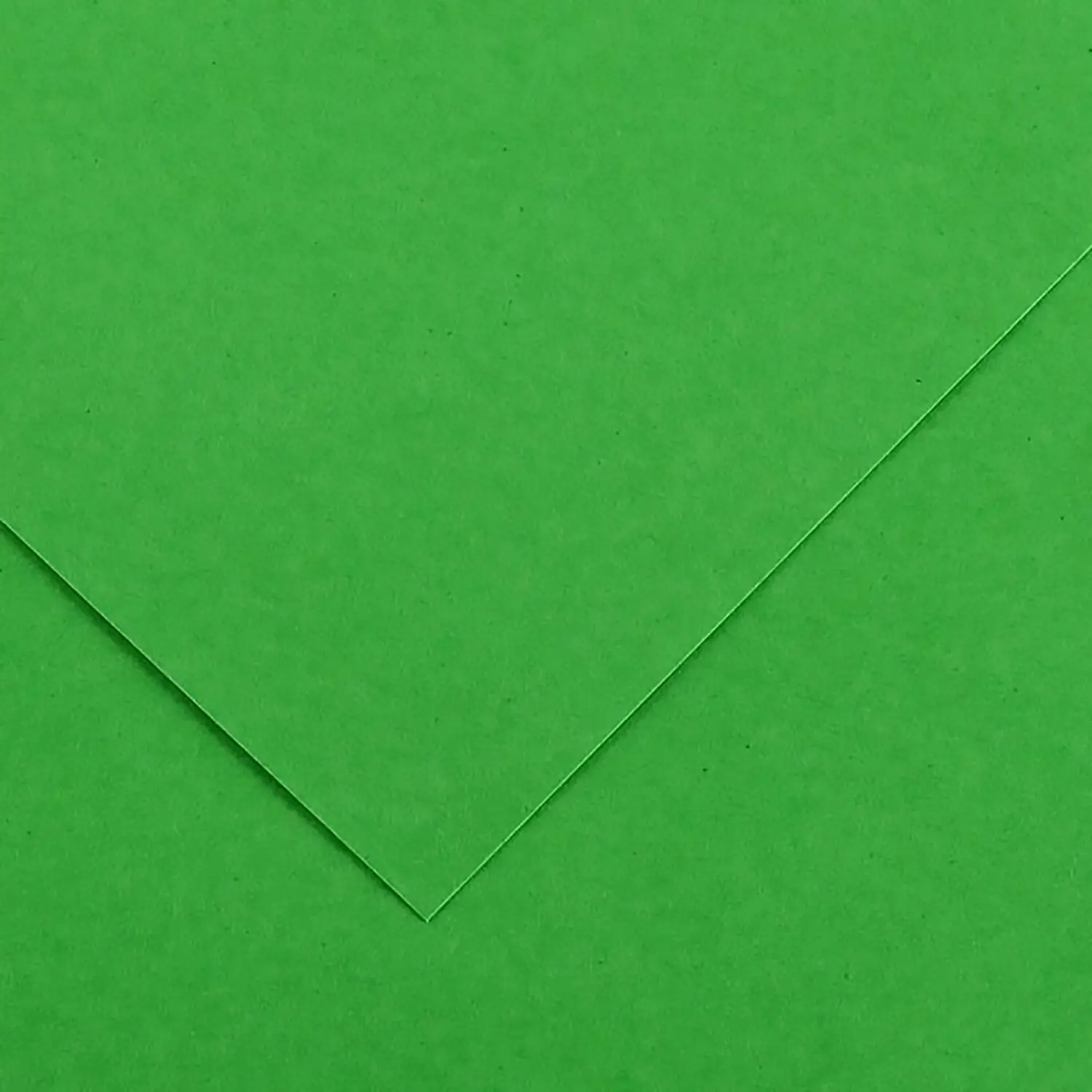 Cartoncino Vivaldi Canson 185 g/m² - 50 Fogli A4 Verde Brillante - Carta e cartoncino
