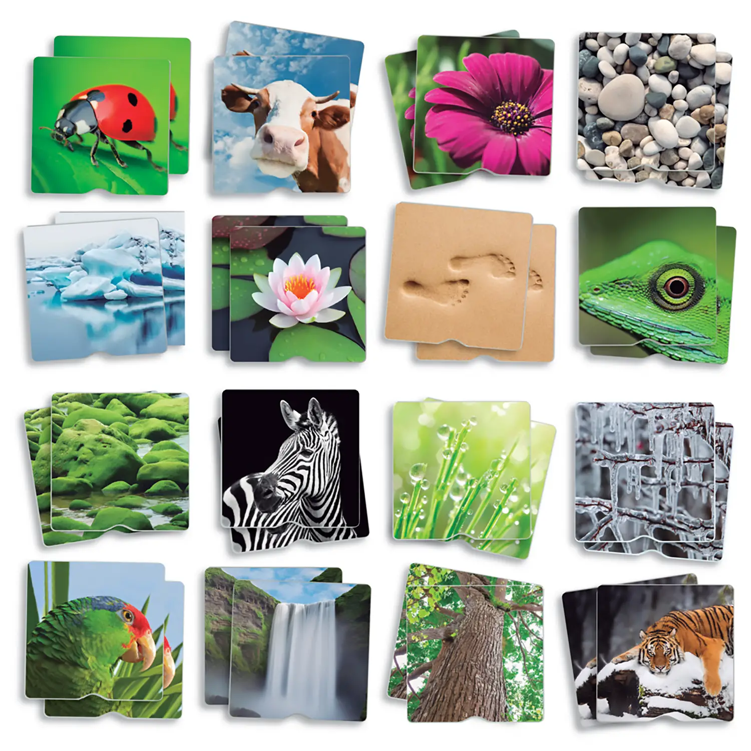 Memo Tattile Maxi Natura – 34 Schede - Sviluppo sensoriale