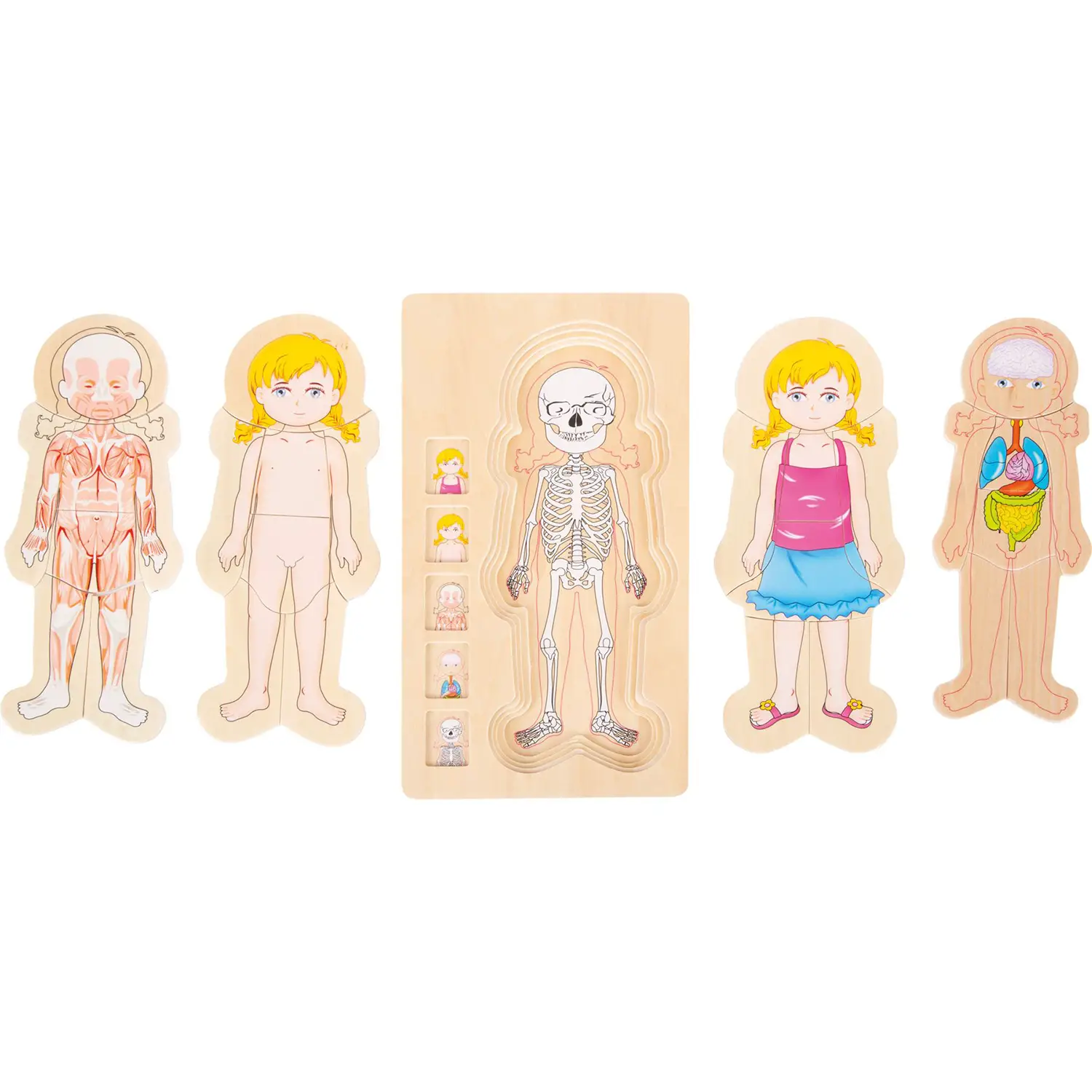 Puzzle a Strati Anatomia Ragazza – Gioco Educativo - Puzzle a strati