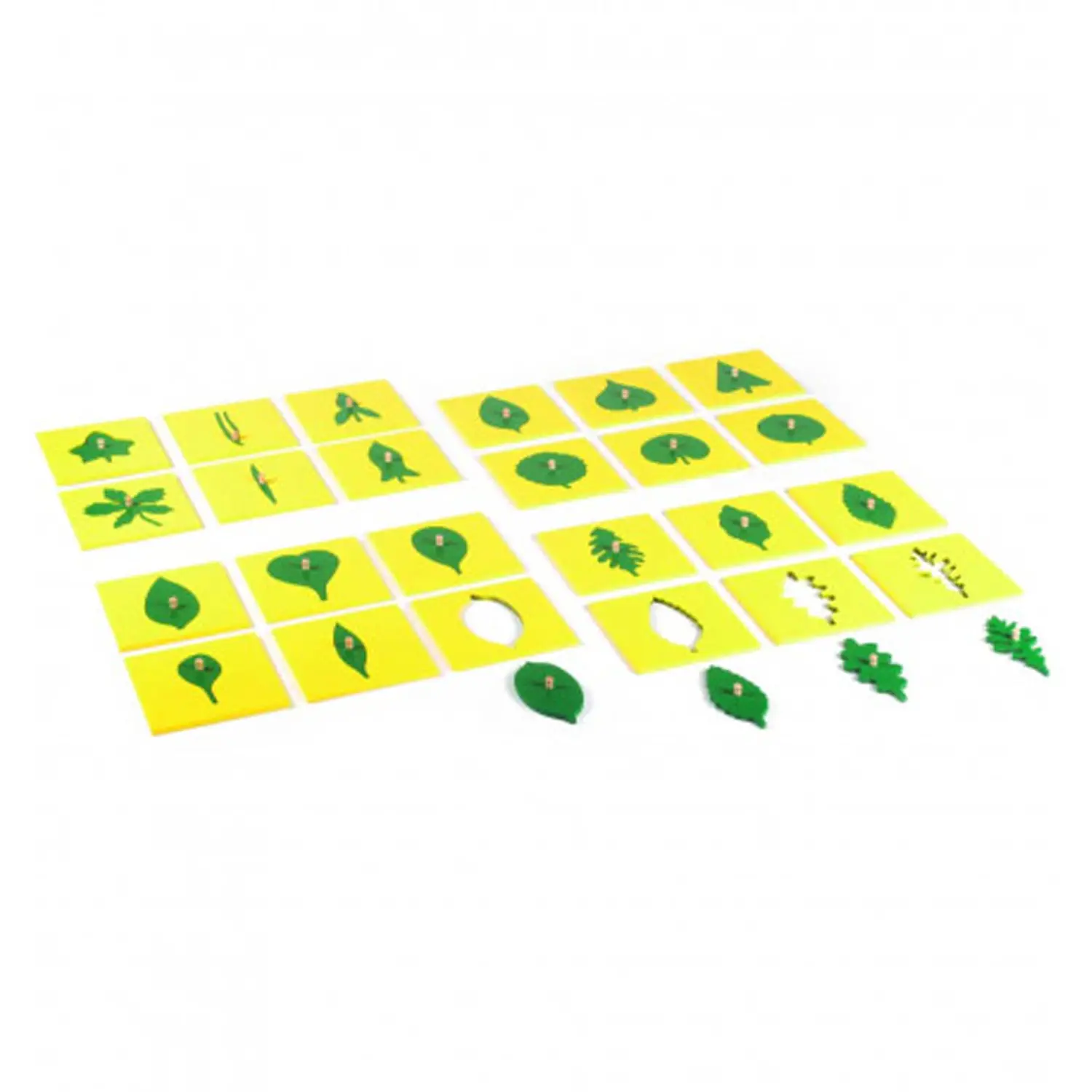 Gioco di Incastri Montessori – Forme di Piante e Foglie - leggere scrivere contare racco
