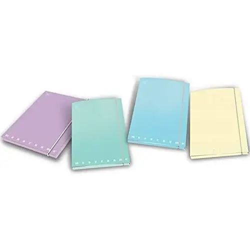 Cartella 3 Lembi con Elastico e Dorso 1,2 cm – Pastello Monocromo - Archiviazione