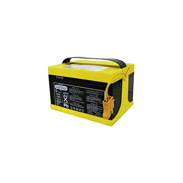 Batteria 24V 8Ah Peg Perego – Ricaricabile e Senza Manutenzione - auto