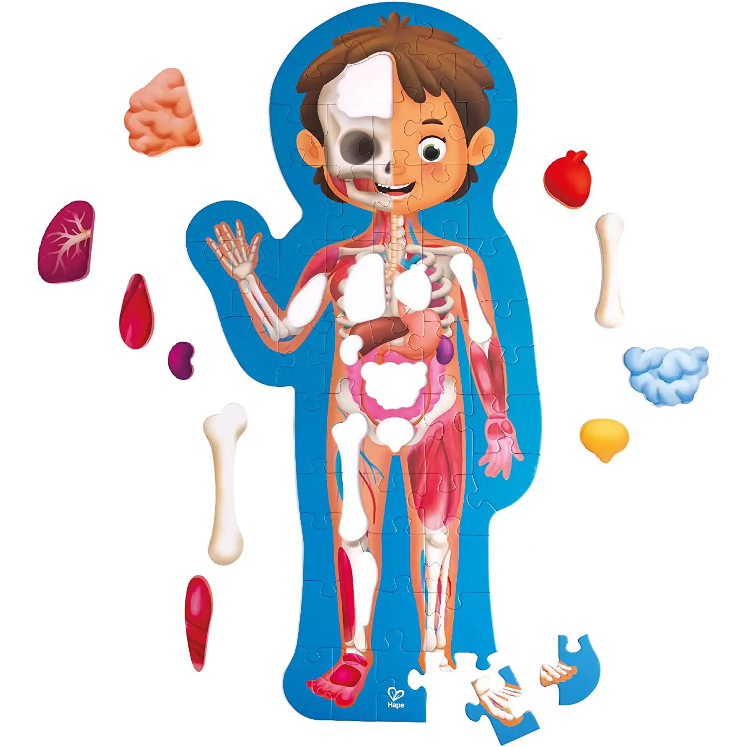 Puzzle Corpo Umano per Bambini 61 Tessere in Legno con Poster - Incastri e puzzle in legno