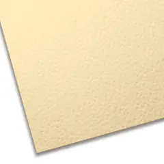 Cartoncino Colorato Premium Liscio-Ruvido - 70x100 cm - Panna