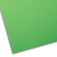 Cartoncino Colorato Premium Liscio-Ruvido - 70x100 cm - Verde Chiaro