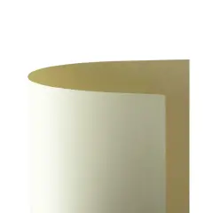 Cartoncino Bristol Liscio 200 gr - 25 Fogli 50x70 cm - Avorio