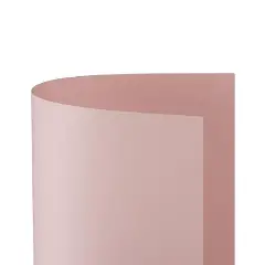 Cartoncino Bristol Liscio 200 gr - 10 Fogli 70x100 cm - Rosa