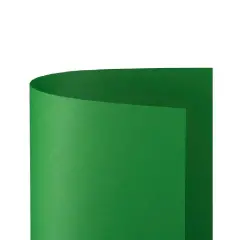 Cartoncino Bristol Liscio 200 gr - 10 Fogli 70x100 cm - Verde