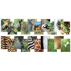 Immagini per Raccontare Animali del Mondo