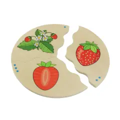 Associazione Logica – Frutti