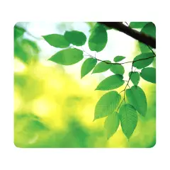 Mousepad Earth Series – Foglie