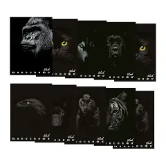 Quaderno Maxi Pigna Monocromo Black - 72 Pagine - Rigatura 1R